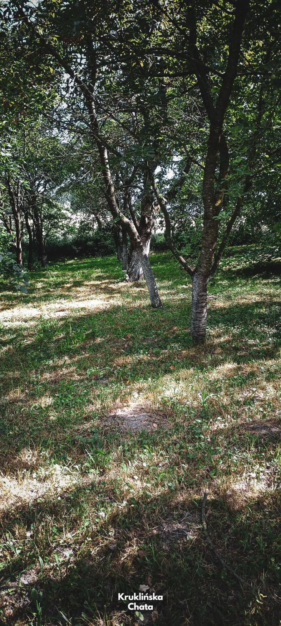 Kruklinska Chata - Domek Na Mazurach Zewnętrze zdjęcie